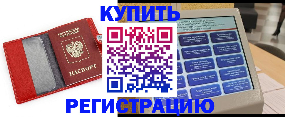 прописка для школы в Ленинградской области